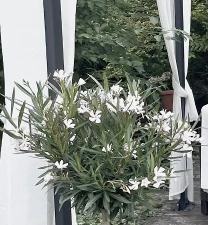 Apartment Ammersbek דירה *